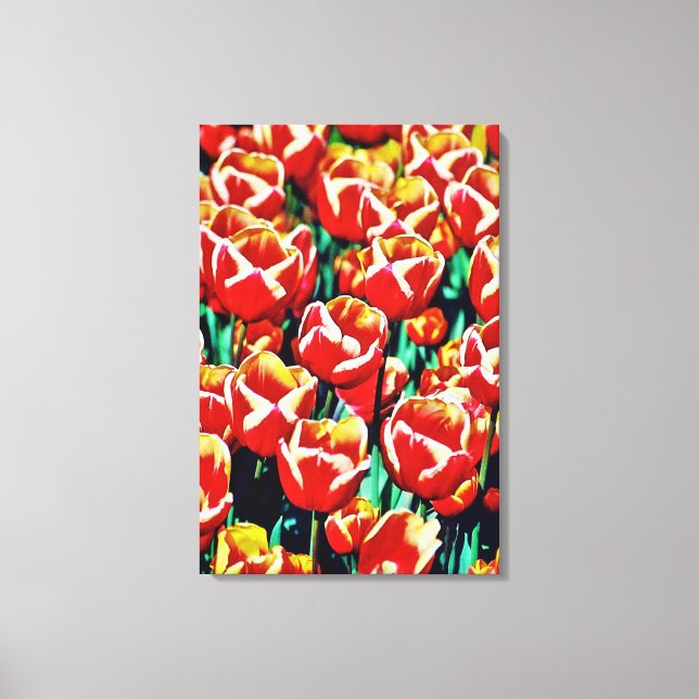 Impressão em tela esticada tulipas  (Frente)