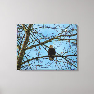 Impressão Em Tela Estou te observando