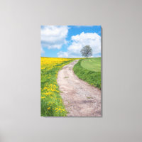 Estrada e Árvore de diafragmas