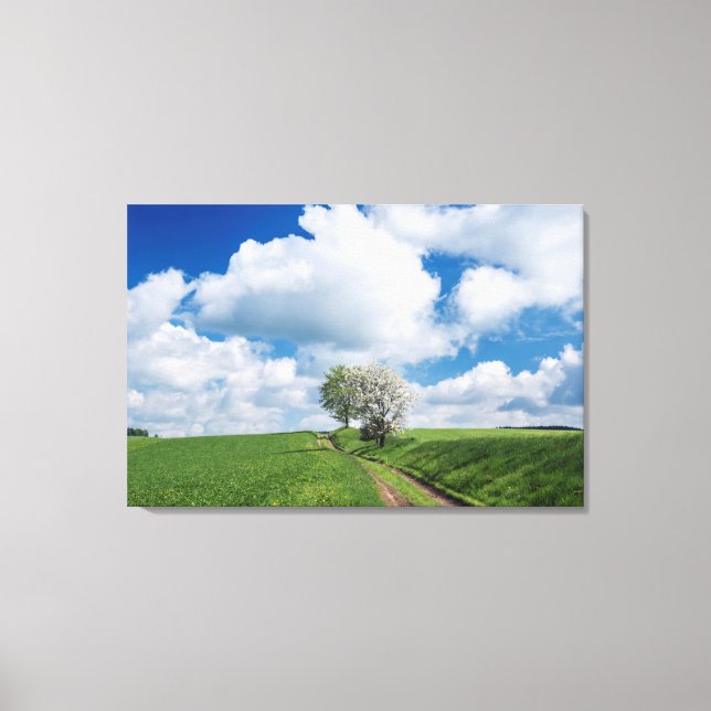 Impressão Em Tela Estrada e Árvores de Maçã (Frente)