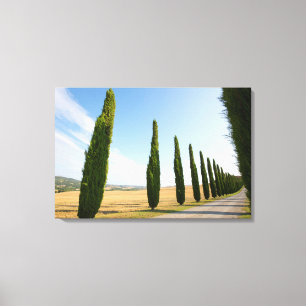 Impressão Em Tela Estrada Rural Arborizada, Toscana