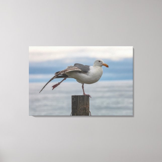 Impressão Em Tela Estreitamento (Frente)