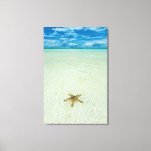 Impressão Em Tela Estrela-do-mar em água rasa, Palau