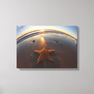 Impressão Em Tela Estrela do mar na praia