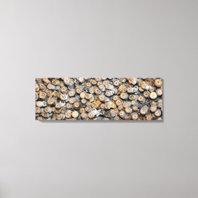 Impressão Em Tela Estrelas ao longo do Rio Grande Cotton Wood Trees  (Frente)