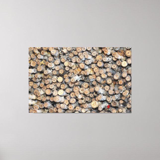 Impressão Em Tela Estrelas ao longo do Rio Grande Cotton Wood Trees  (Frente)