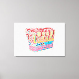 Impressão Em Tela Estrutura Da Anatomia E Camadas Da Parede Do Estôm