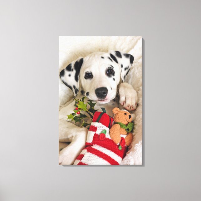 Impressão Em Tela estúdio (Frente)