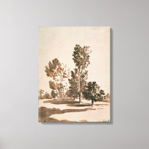 Impressão Em Tela Estudo da árvore (caneta & tinta no papel)