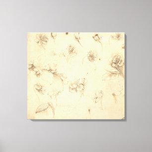 Impressão Em Tela Estudo das flores Grama-como de plantas (Briza M