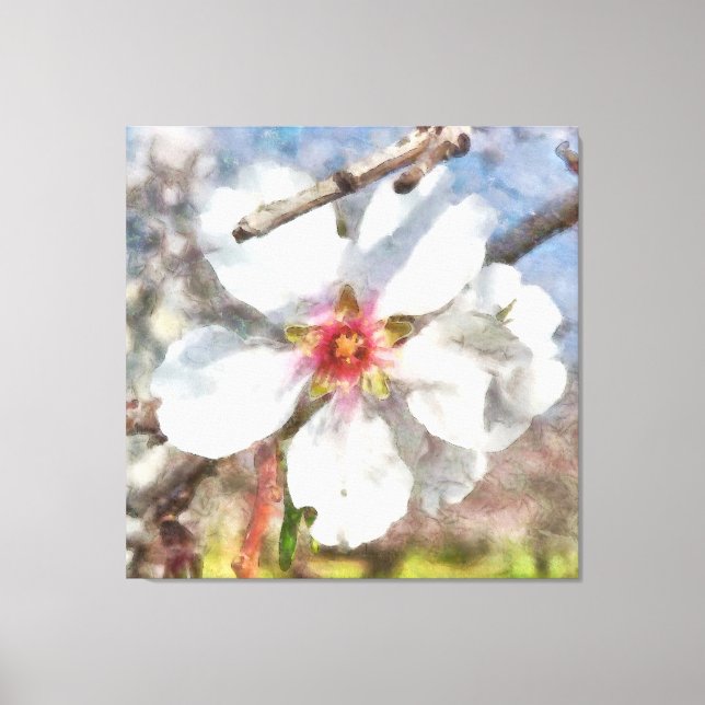 Impressão Em Tela Estudo do Blossom de Amêndoa Pintura em Aquarela (Frente)