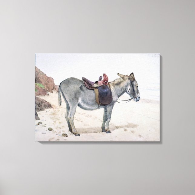 Impressão Em Tela Estudos de Animais (Frente)