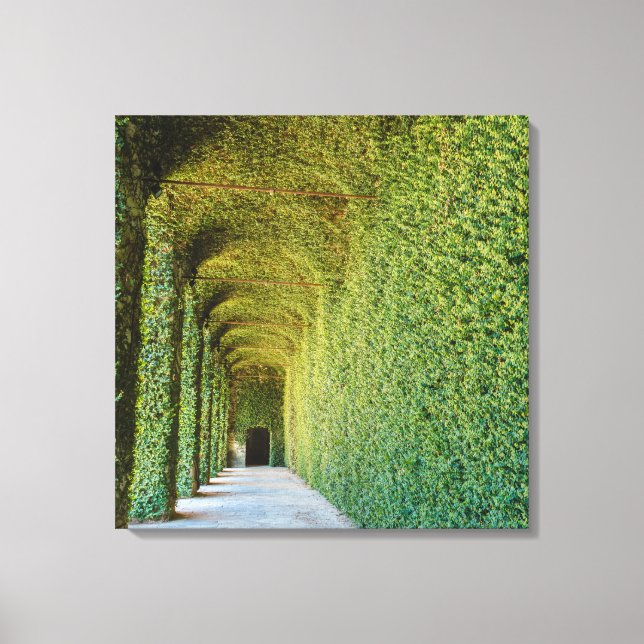 Impressão Em Tela Estufa Verde em tela estendida (Frente)