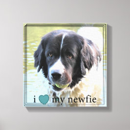 Impressão Em Tela Eu amo a minha fronteira negra da Terra Nova