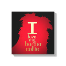 EU AMO MEU COLLIE FRONTEIRIÇO