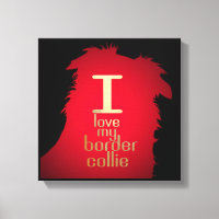 EU AMO MEU COLLIE FRONTEIRIÇO