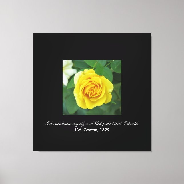 Impressão Em Tela Eu não me conheço. . . (Goethe) (Frente)