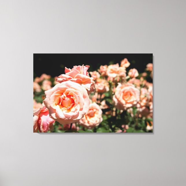 Impressão Em Tela EUA, Alabama, Theodore perto do Mobile 5 (Frente)