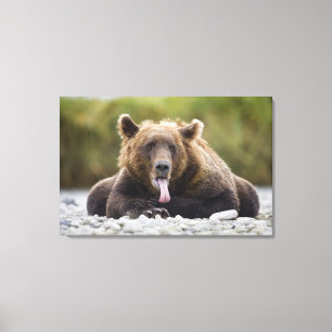 Impressão Em Tela EUA, Alasca, Parque Nacional Katmai, Baía de Kukak