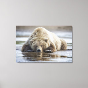 Impressão Em Tela EUA, Alasca, Parque Nacional Katmai, Urso Pardo