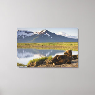Impressão Em Tela EUA, Alasca, Parque Nacional Katmai, Ursos Pardo