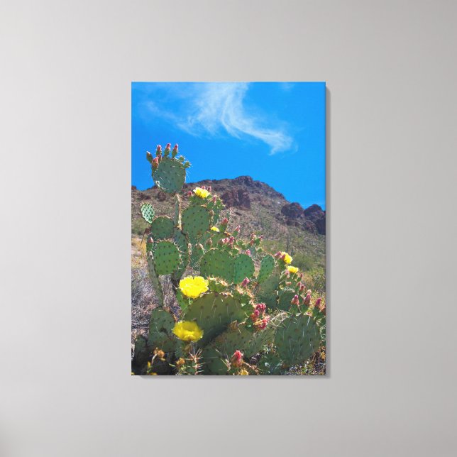 Impressão Em Tela EUA, Arizona. Cactus Nas Colinas (Frente)