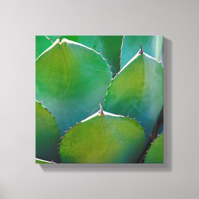 Impressão Em Tela EUA, Arizona. Encerramento De Instalações Suculent (Frente)