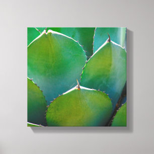 Impressão Em Tela EUA, Arizona. Encerramento De Uma Instalação Suc