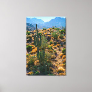 Impressão Em Tela EUA, Arizona. Exibição de Deserto