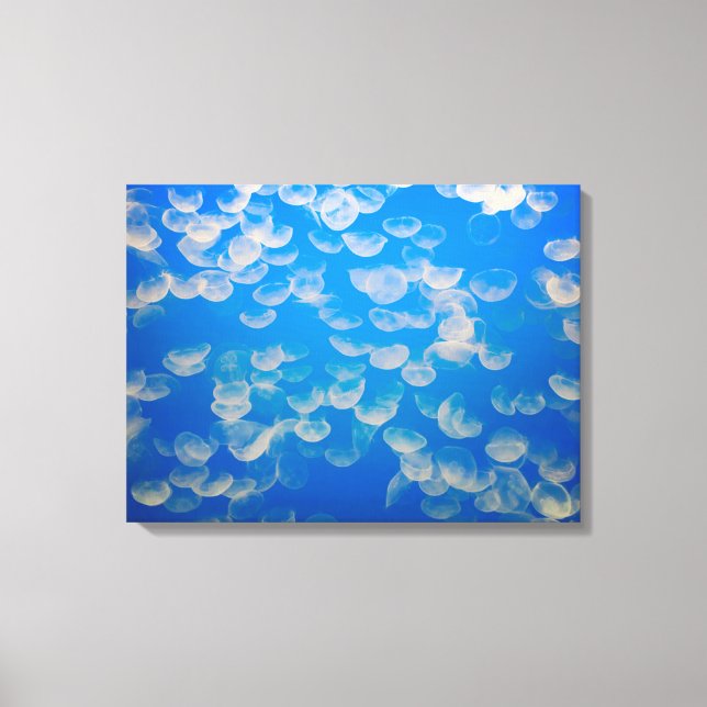 Impressão Em Tela EUA, Califórnia. Água-Velho Na Baía De Monterey (Frente)