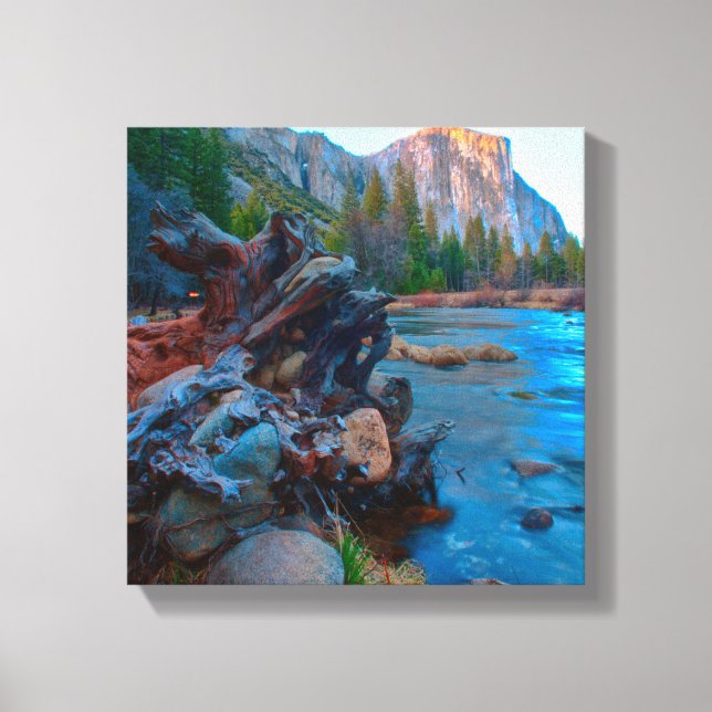 Impressão Em Tela EUA, Califórnia. Raízes De Árvores No Rio Merced (Frente)