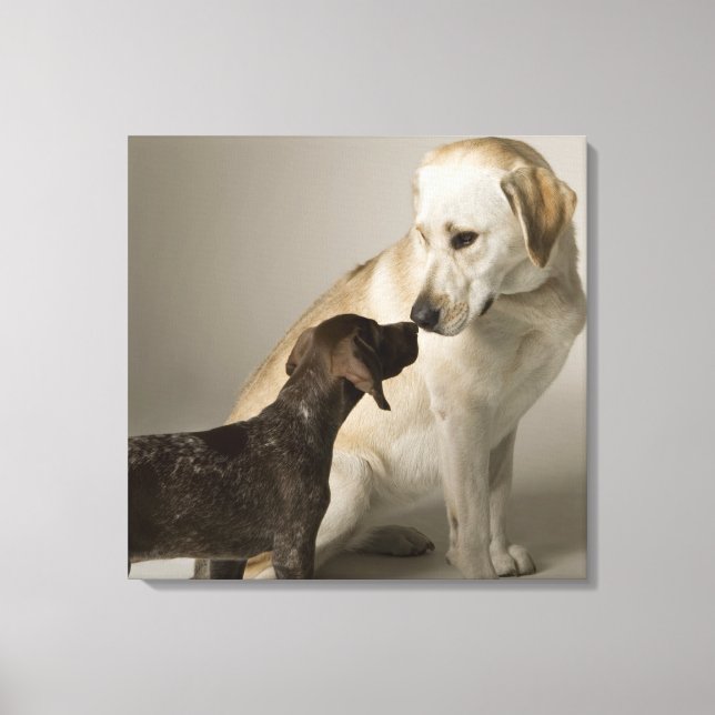 Impressão Em Tela EUA, Califórnia, São Francisco (Frente)