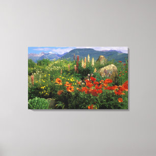 Impressão Em Tela EUA, Colorado, Crested Butte. Papilas e lupinas