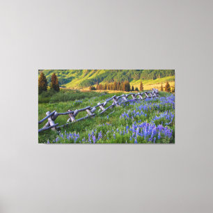 Impressão Em Tela EUA, Colorado. Linhas de apoio e vedação