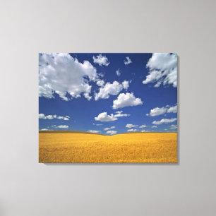 Impressão Em Tela EUA, Estado de Washington, Colfax. Reúne cevada