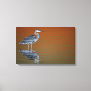 Impressão Em Tela EUA, Florida, St Petersburg, Forte De Soto