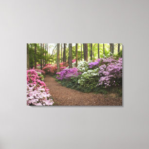 Impressão Em Tela EUA, Geórgia, Pine Mountain. Um caminho