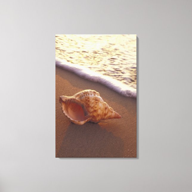 Impressão Em Tela EUA, Havaí, Maui, Kihei, Luz da noite sobre (Frente)