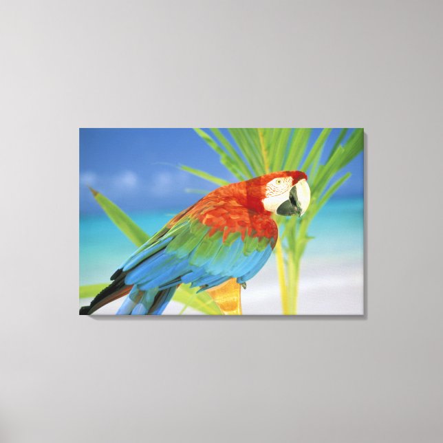 Impressão Em Tela EUA, Havaí. Papagaio (Frente)