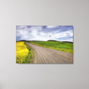 Impressão Em Tela EUA, Idaho, Condado de Idaho, Campo de Canola