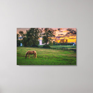 Impressão Em Tela EUA, Lexington, Kentucky. Cavalo solitário ao pôr