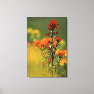 Impressão Em Tela EUA, Michigan, Ilha Drummond, Maxton Plains,