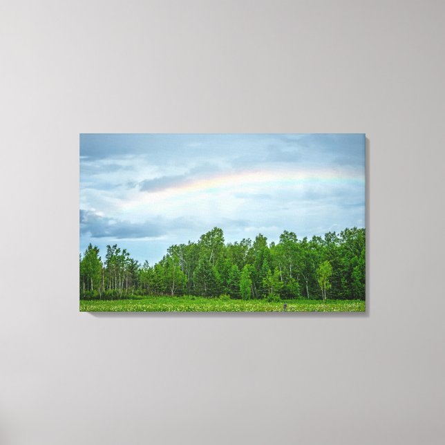 Impressão Em Tela EUA, Minnesota. Prado verde com flores silvestres (Frente)