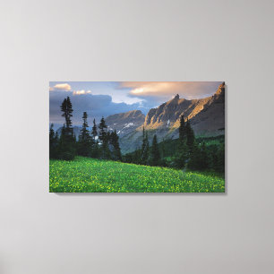 Impressão Em Tela EUA, Montana, Glacier National Park, Logan Pass