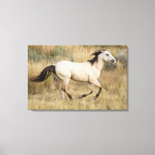 Impressão Em Tela EUA, Oregon, Seneca, rancho de Ponderosa. Cavalo