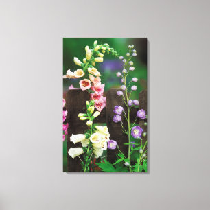 Impressão Em Tela EUA, Pensilvânia. Dedaleira e delphinium