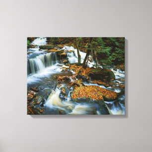 Impressão Em Tela EUA, Pensilvânia, Parque Estadual Ricketts Glen