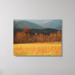 Impressão Em Tela EUA, Tennessee. Cades Cove nas Montanhas Fumosas