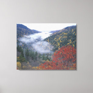 Impressão Em Tela EUA, Tennessee, Excelente Smokey Mountains Nationa