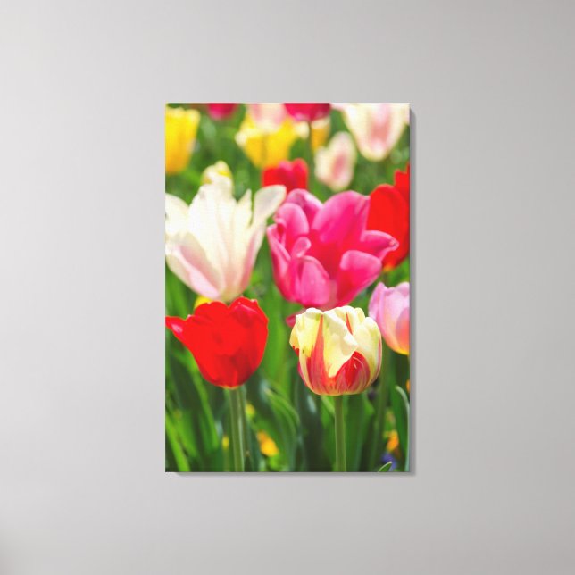 Impressão Em Tela EUA, Tennessee, Nashville (Frente)